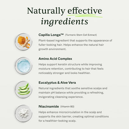 Shampooing Pure Hair Revival™